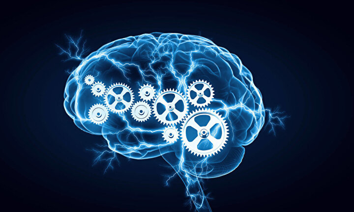 Dünyanın En Zeki Ülkeleri ve Ortalama İQ Değerleri
