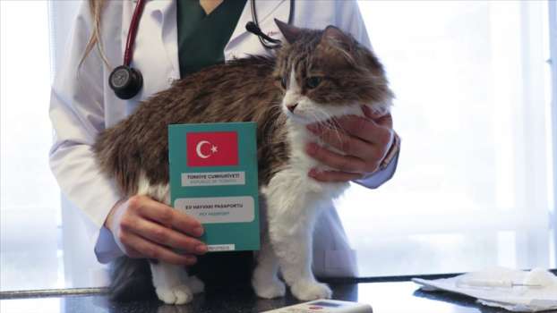 1,4 Milyon Ev Hayvanına Kayıt Altına Alındı