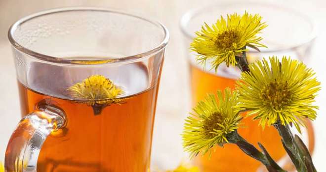 Aslanpençesi Nedir, Ne İşe Yarar?