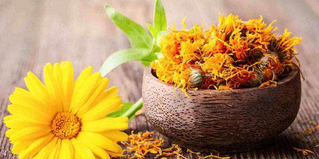 Aynısefa Nedir? Aynısefanın Faydaları Ve Zararları Nelerdir?