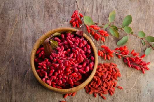Goji Berry Nedir? Goji Berry Faydaları ve Zararları Nelerdir?