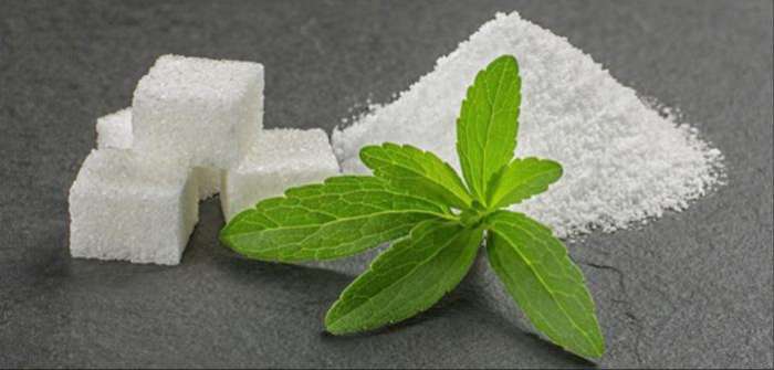 Stevia Nedir? Stevia Bitkisinin Faydaları Nelerdir?
