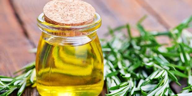 Biberiye Yağı Tarifi, Biberiye Yağının Faydaları Nelerdir?