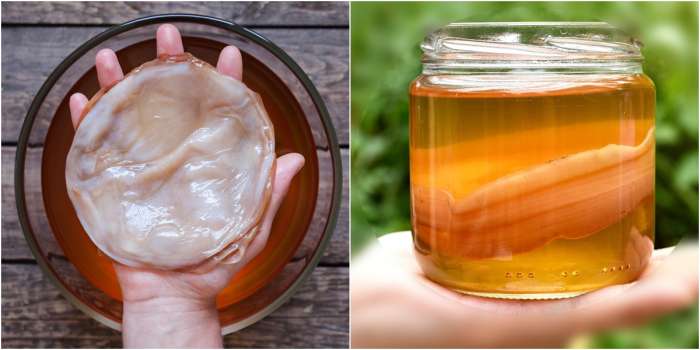 Kombu Çayı Nedir? Kombu Çayı Faydaları