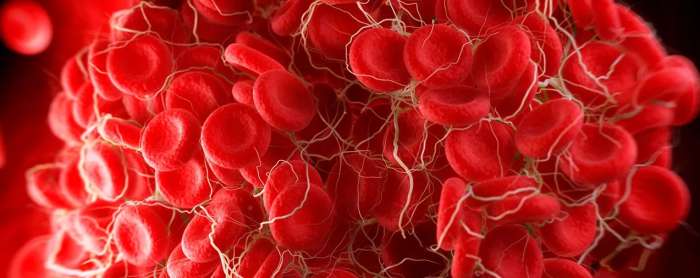 Fibrinojen Nedir? Yüksekliği Ve Düşüklüğü Nedendir?