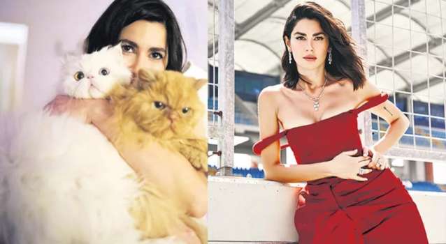 Nesrin Cavadzade Komşu Kavgası İddialarını Yalanladı