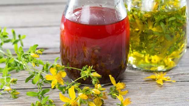 Sarı Kantaron Yağı Nedir? Faydaları Nelerdir?