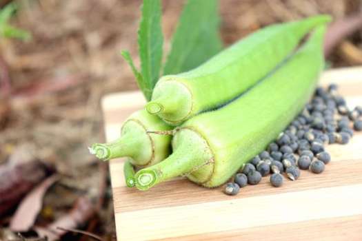 Bamya Tohumu Nasıl Kullanılır? Bamya Tohumu Faydaları