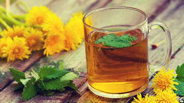Melisa Çayı Nedir? Melisa Çayının Faydaları Nelerdir?