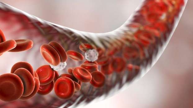 Trombosit Nedir, Düşüklüğü Ve Yüksekliği Ne Anlama Gelir?