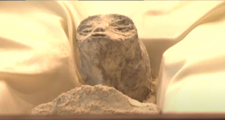 Meksika'da Bulunduğu İddia Edilen Uzaylı Fosili