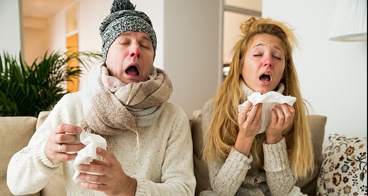 Domuz Gribi Belirtileri, Gribe Ne İyi Gelir ve Grip Nasıl Geçer?