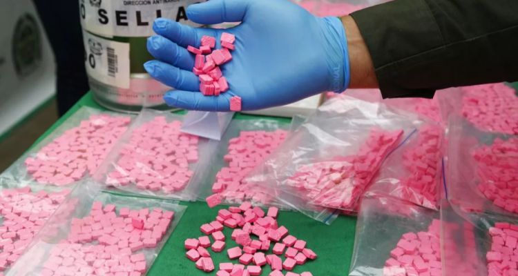 Kanada'nın En Büyük uyuşturucu Laboratuvarı Çökertildi