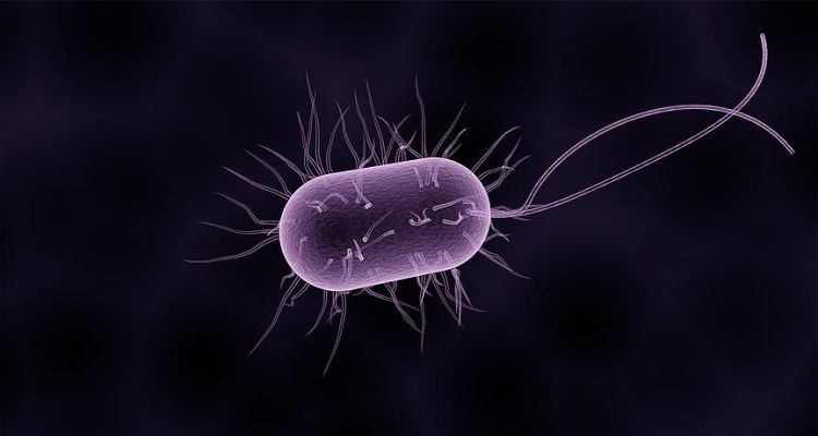 40 Bin Yıllık Donmuş Mikroplar Yeniden Canlandı: Bilim Dünyasında Şok Gelişme