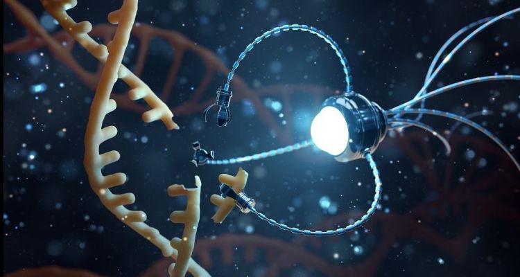 Kanseri Yok Eden Ve Kendiliğinden Kaybolan Nanobotlar Geliştirildi!