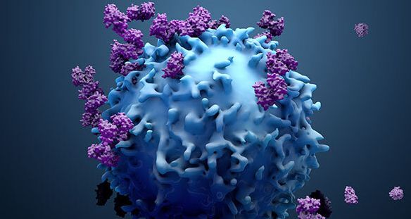 Lenfositler Kanseri Öldürür Mü? Lenfosit Sayısını Artırmak