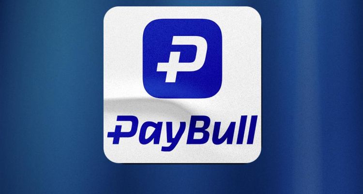 Paybull Operasyonunda 25 Gözaltı Kararı Çıktı