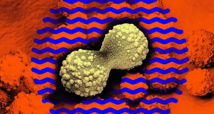 Bilim Dünyasında Tartışılan Konu: Bira Aşısı Geliştirildi Mi?