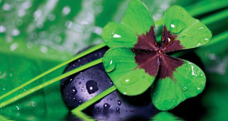 Şans Gerçekten Var Mıdır? Bilimsel Analizlerle Değerlendirme