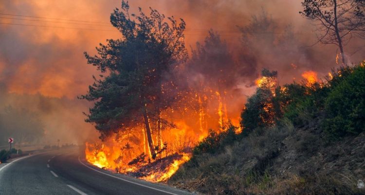 İzmir Orman Yangını Büyüyor: Menderes ve Gaziemir’de Tahliyeler Başladı