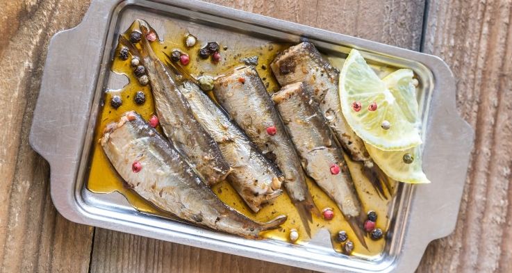 Doğanın Aspirini Sardalya: Kalp ve Beyin Sağlığına Şifa Deposu