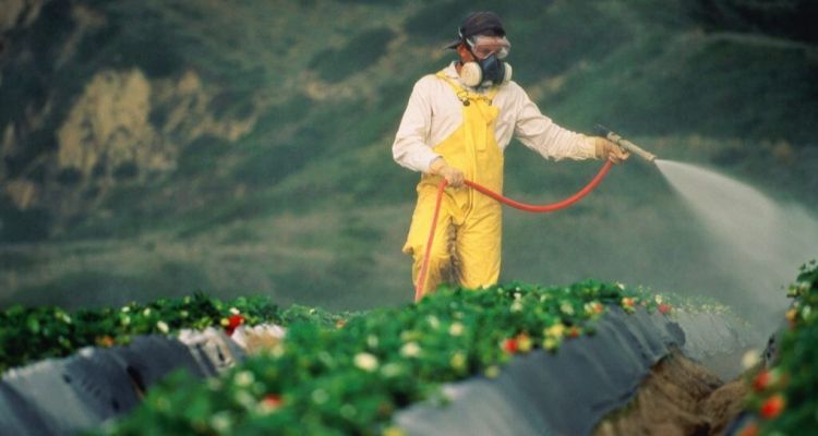 Türkiye’den Yunanistan’a Kaçak Pestisit Satışı