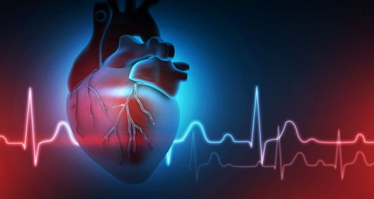 Kalp Ritmi Bozukluklarında Yeni Nesil Tedavi