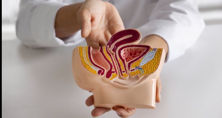 Prostat Sağlığı İçin Ne Yapılmalı? - Doğal Yöntemler