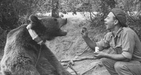 Ayı Vojtek Olayı Nedir? 2. Dünya Savaşı'nın Sıra Dışı Ayısı