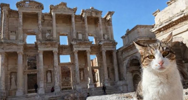 Türkiye'deki Antik Kentler: Türkiye Antik Kentler Haritası